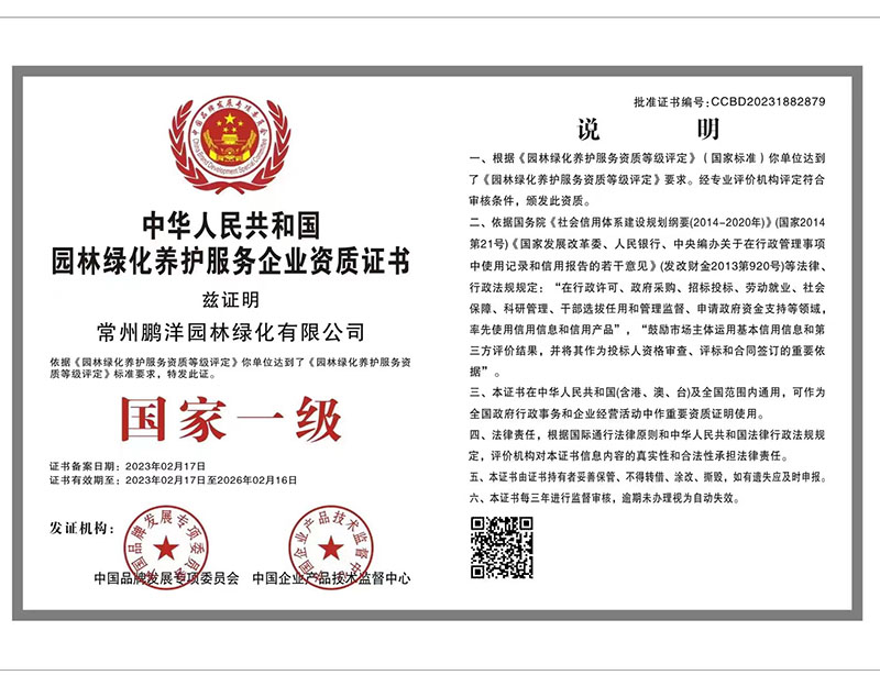 榮譽(yù)證書
