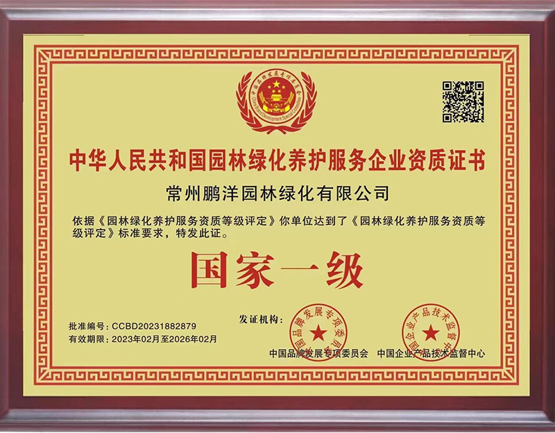 榮譽(yù)證書