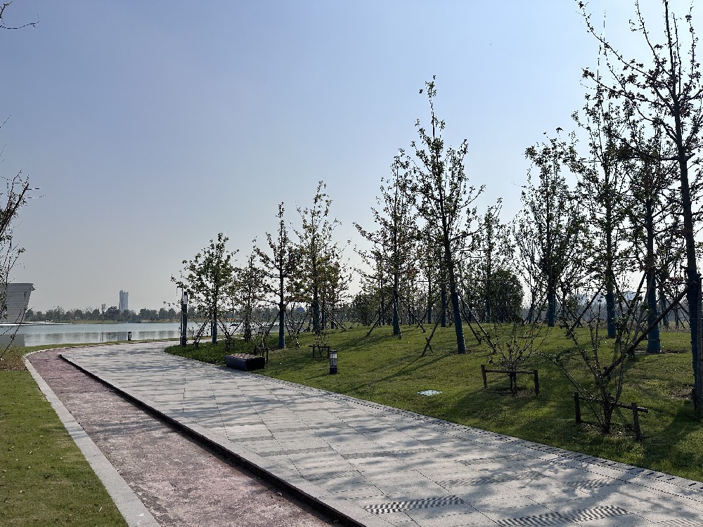 經(jīng)開區(qū)城市客廳
